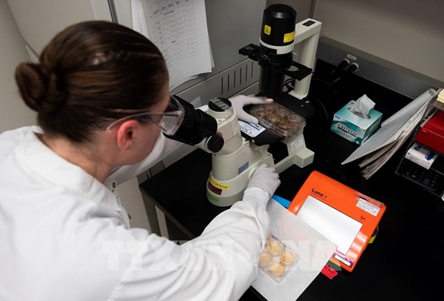 Mỹ tăng gấp đôi đầu tư vào điều chế vaccine phòng COVID-19 (Ảnh Internet)