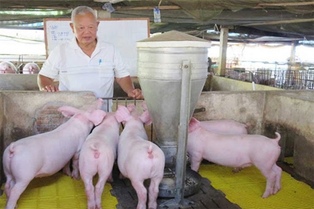 Giá lợn hơi hôm nay 27/7: Miền Bắc đi ngang, miền Trung tăng, miền Nam giảm.