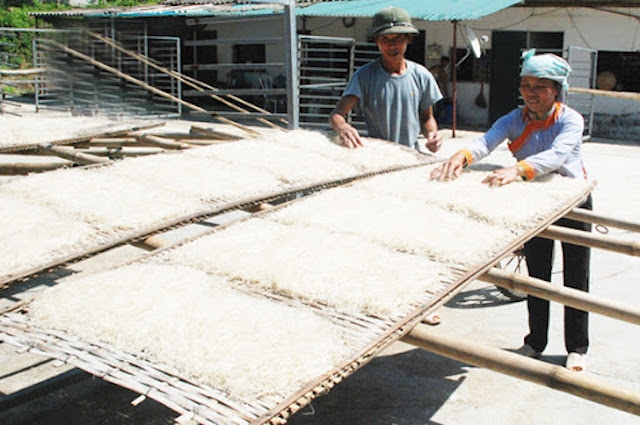 Bảo tồn nghề làm miến dong.