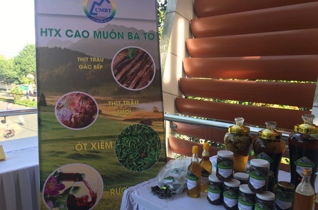 Hoạt động hiệu quả của HTX Cao Muôn Ba Tơ đã giúp nhiều người dân trong huyện vươn lên thoát nghèo (Ảnh: TL)