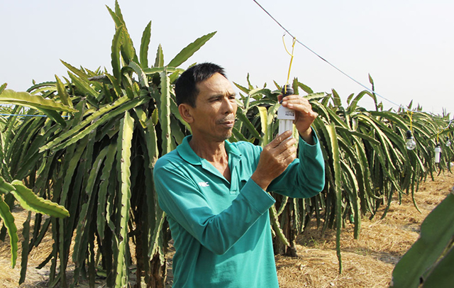 NTM góp phần tăng hiệu quả sản xuất nông nghiệp, nâng cao đời sống cho người dân.