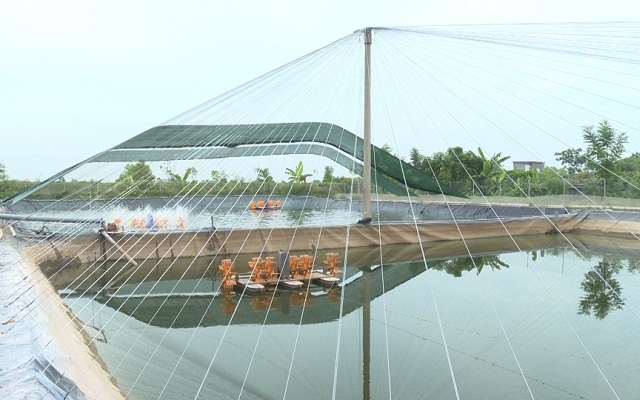 Các thành viên chú trọng đầu tư theo hướng hiện đại nhằm nâng cao hiệu quả sản xuất