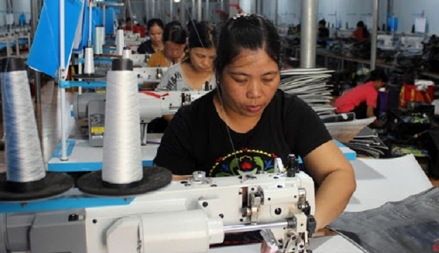 HTX Hoàng Anh giải quyết việc làm cho hàng trăm lao động trên địa bàn huyện Văn Quan (Ảnh: TL)