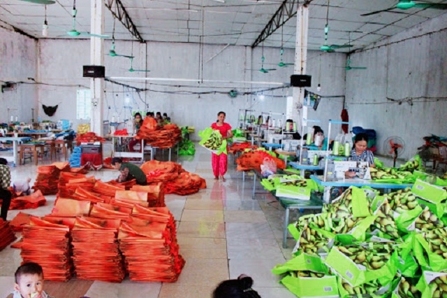 HTX Trung Kiên hiện thu hút khoảng 100 công nhân may túi và 70 lao động nông nhàn đã giúp xóa đói, giảm nghèo tại địa phương