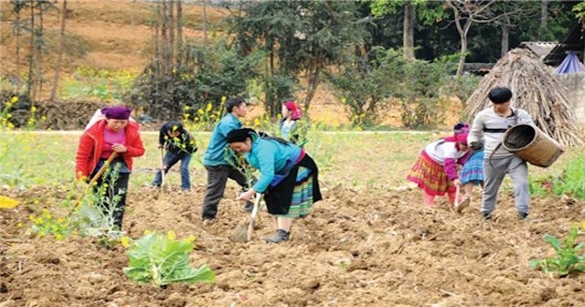 6 tháng đầu năm 2020, hơn 1.500 lao động được tạo việc làm mới.