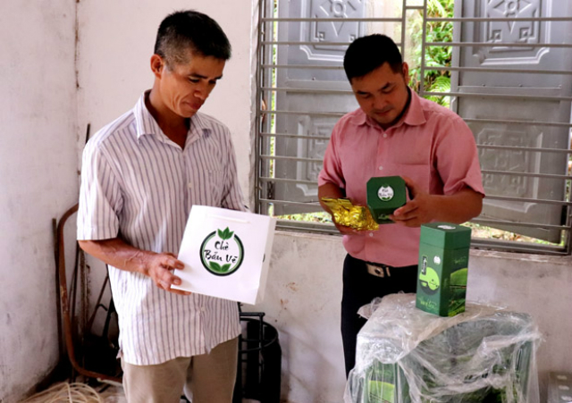 Trà của HTX chè Bản Vẽ đạt tiêu chuẩn OCOP (Ảnh: TL)