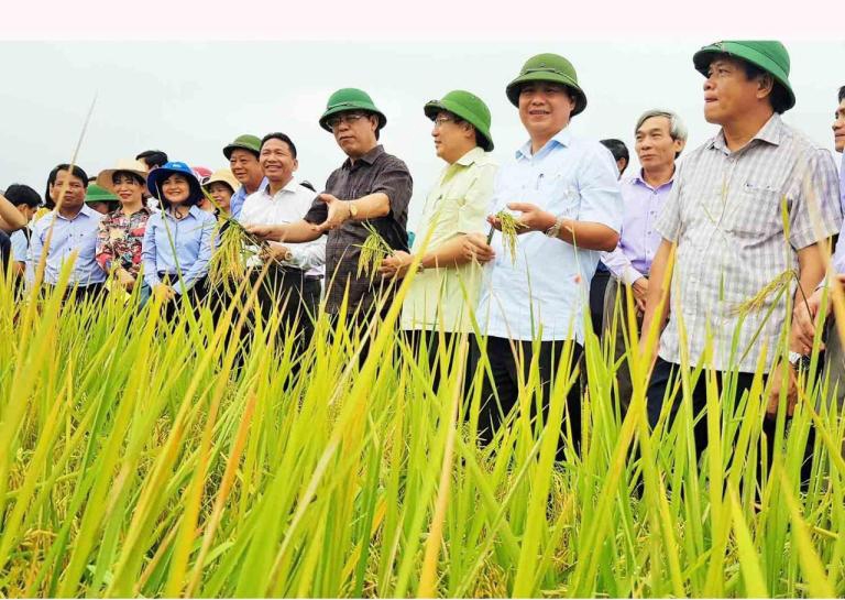 Phong trào dồn điền đổi thửa, áp dụng máy móc vào sản xuất để nâng cao hiệu quả sản xuất, ổn định thu nhập đang được lan toả tại nhiều địa phương (Ảnh:TL)