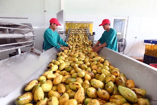 Thị xã Hoà Thành vận động doanh nghiệp ưu tiên tuyển dụng lao động địa phương