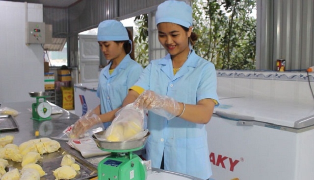 Liên kết chuỗi tăng giá trị của đặc sản sầu riêng huyện Đạ Huoai (Ảnh: TL)