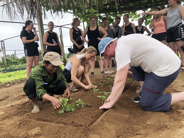 Phát triển nông nghiệp gắn với du lịch đang là hướng đi của HTX Nông nghiệp và dịch vụ bền vững Hội An (Ảnh: TL)