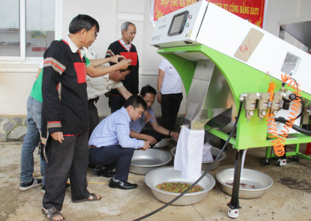 Vận hành thử nghiệm máy tách màu tại Lễ bàn giao máy móc, thiết bị hỗ trợ xây dựng mô hình HTX sản xuất, kinh doanh theo chuỗi giá trị tại HTX Nông nghiệp dịch vụ Công bằng Ea Tu.