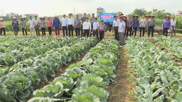 Tổ chức cho học viên tham quan học tập kinh nghiệm các mô hình sản xuất hiệu quả.