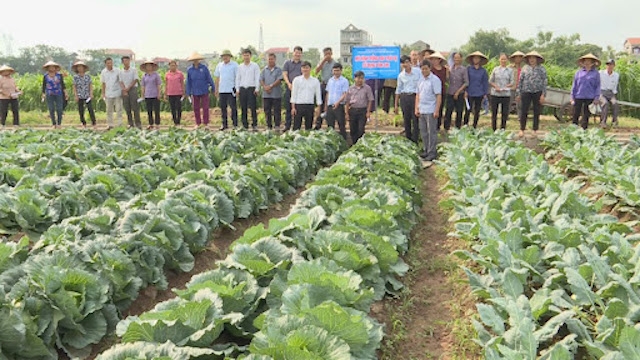 Tổ chức cho học viên tham quan học tập kinh nghiệm các mô hình sản xuất hiệu quả.