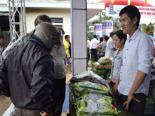 Thương hiệu “chè dây Ra Zéh” đã trở thành “tiềm lực” kinh tế của huyện Đông Giang (Ảnh: TL)