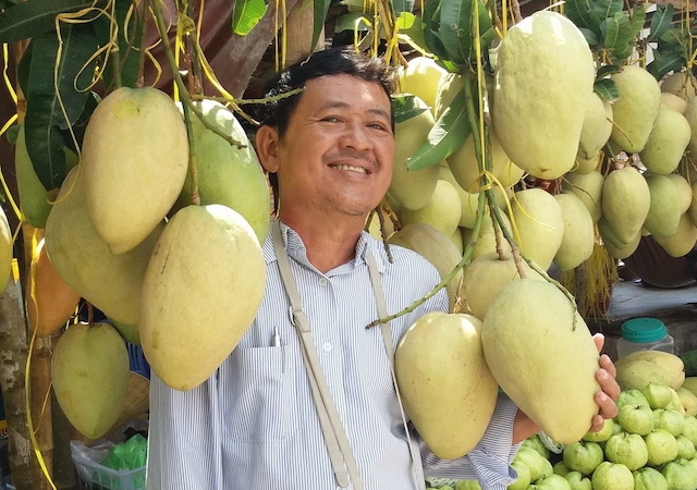 Người dân Cù Lao Dung đang làm giàu nhờ thế mạnh vườn cây ăn quả (ảnh:TL)