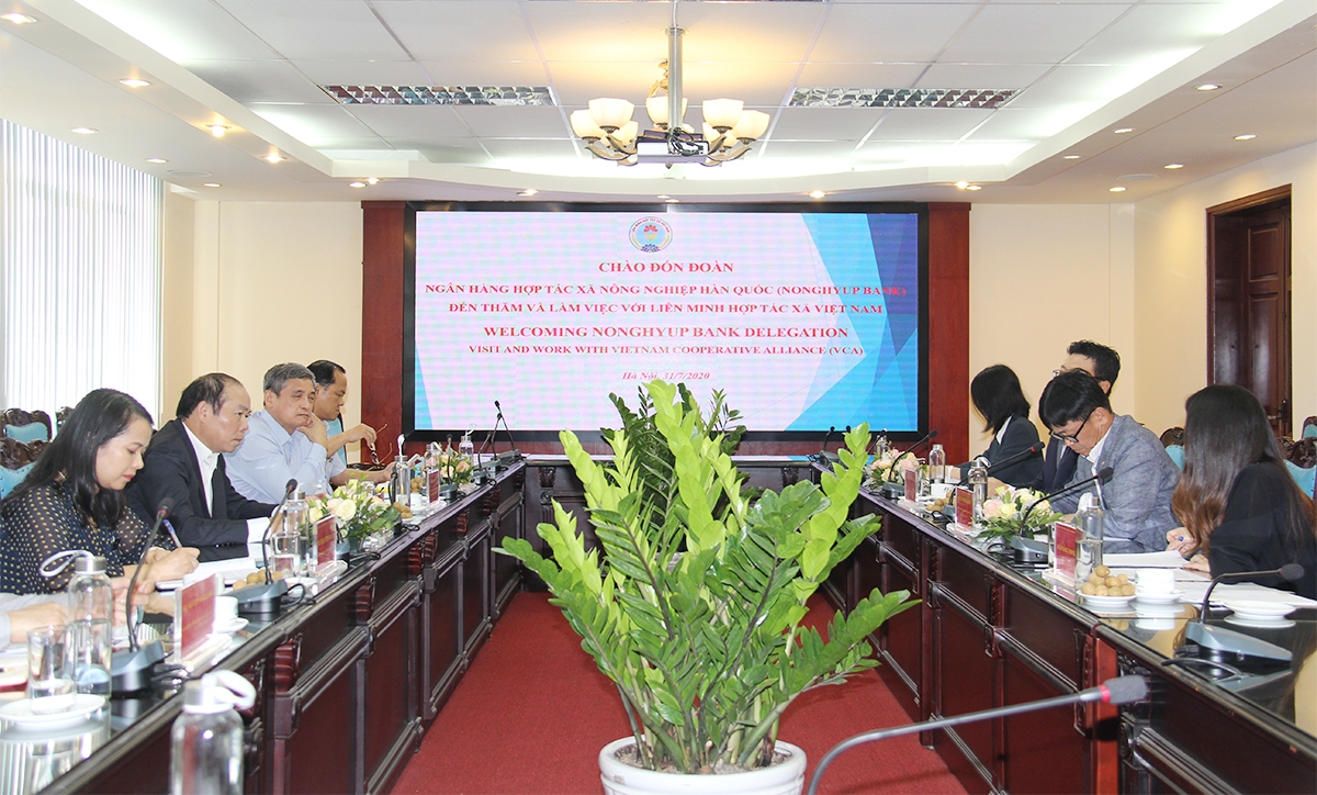 Liên minh HTX Việt Nam và Ngân hàng Nông nghiệp Hàn Quốc trao đổi tại buổi làm việc (Ảnh: Phạm Duy)