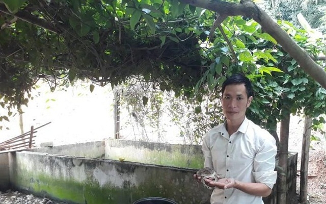 Nuôi ếch theo chuỗi giá trị đang giúp người dân Xuân Thượng nâng cao giá trị kinh tế