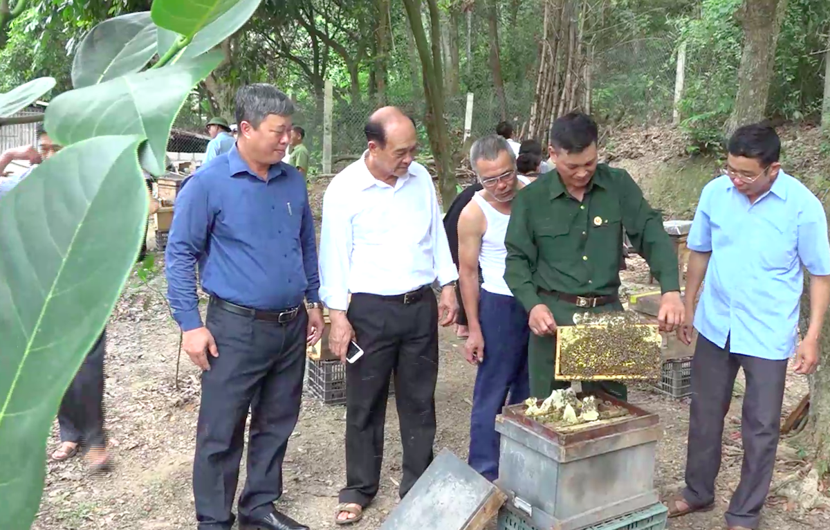 Nghề nuôi ong ở Kinh Môn mang lại giá trị kinh tế cao, giải quyết việc làm cho nhiều lao động địa phương (Ảnh: TL)