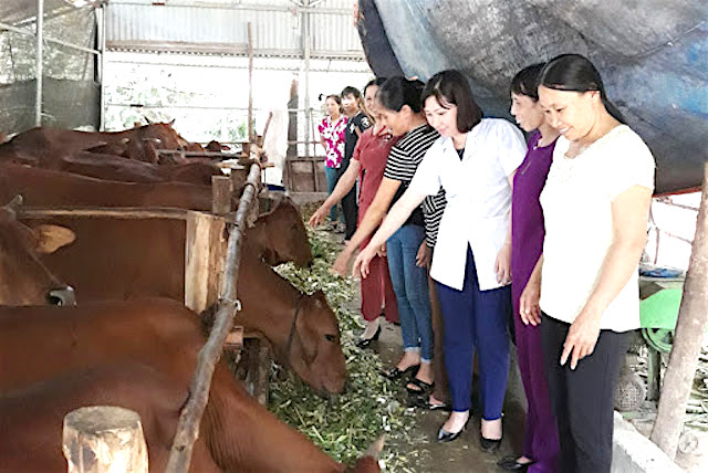 Việc hỗ trợ, tạo điều kiện phụ nữ có hoàn cảnh khó khăn vươn lên thoát nghèo là một chủ trương đúng đắn, cần nhân rộng ở các địa phương ở Thanh Hoá (Ảnh: TL)