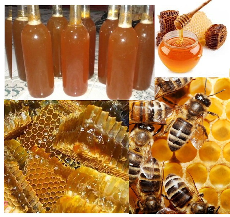 Mật ong rừng Kinh Môn có độ sánh vàng, thơm ngon đặc trưng (Ảnh: TL)