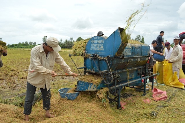 Nông dân Vĩnh Lợi đang hưởng lợi từ việc học nghề nông thôn.