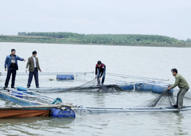 Tỉnh Bắc Ninh sẽ phát triển các mô hình theo hướng hiện đại gắn với ATLĐ để đảm bảo giá trị bền vững (Ảnh TL)
