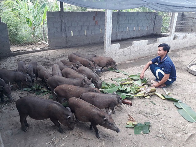 Nhờ tham gia HTX, các hộ nghèo có điều kiện ổn định cuộc sống và nâng cao năng lực sản xuất