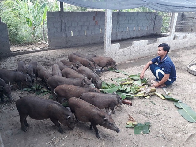 Nhờ tham gia HTX, các hộ nghèo có điều kiện ổn định cuộc sống và nâng cao năng lực sản xuất