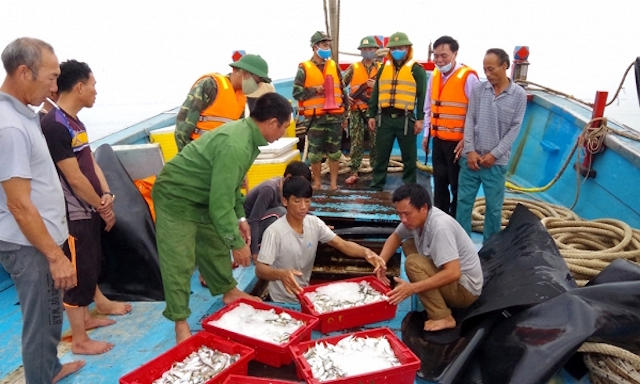 Các cảng cá thực hiện việc thu phí thẩm định xác nhận nguồn gốc nguyên liệu thủy sản theo đúng quy định (Ảnh: Internet)