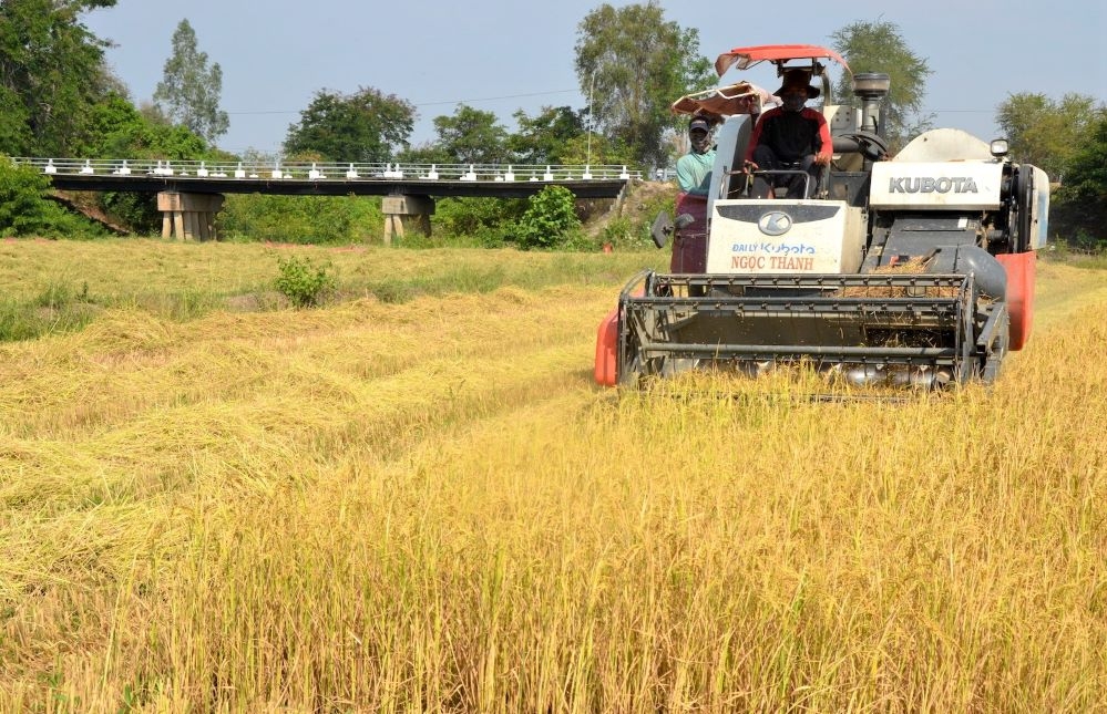 Khu vực kinh tế hợp tác có vai trò quan trọng đóng góp vào việc hoàn thành các tiêu chí trong xây dựng NTM.