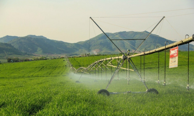 Ứng dụng khoa học công nghệ trong sản xuất nông nghiệp sẽ nâng cao chất lượng, sản lượng, giá trị nông sản. Trong ảnh: cánh tay tưới công nghệ cao trên cánh đồng cỏ của trang trại TH.