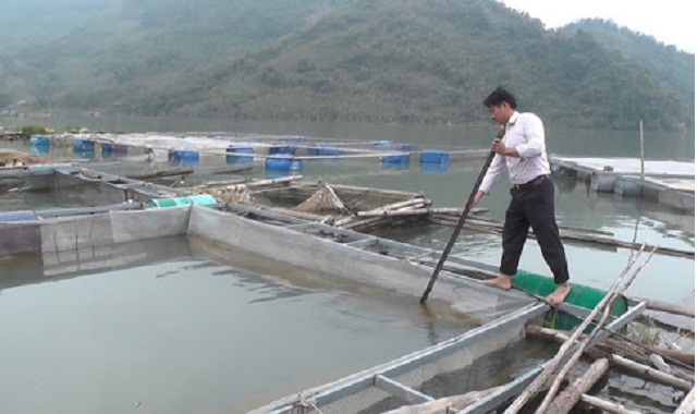 Phát triển nuôi cá lồng là hướng giảm nghèo hiệu quả ở Vầy Nưa