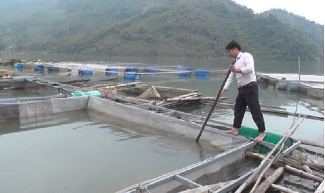 Phát triển nuôi cá lồng là hướng giảm nghèo hiệu quả ở Vầy Nưa
