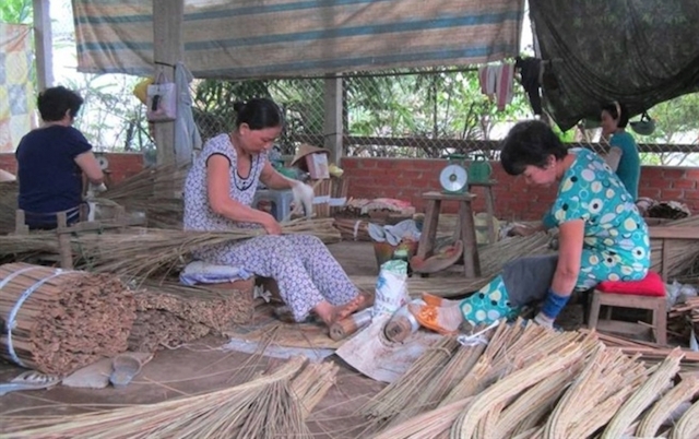 Nghề bó chổi ở làng nghề Mỹ An giải quyết việc làm cho hàng trăm lao động nhàn rỗi tại địa phương.