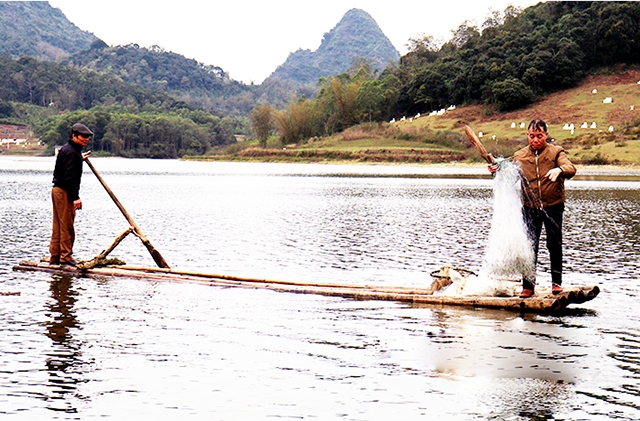 HTX đang phát huy tốt thế mạnh lòng hồ Tam Hoa, thu về hiệu quả kinh tế cao cho thành viên (Ảnh TL)
