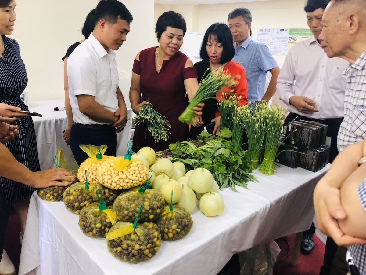 Nông sản tìm cách chinh phục người tiêu dùng .