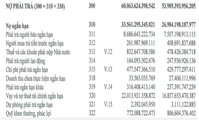 Báo cáo tài chính quý II/2020 của Hòa Phát