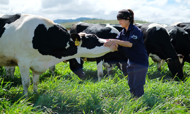 Cổ phiếu GTN được đưa về diện cảnh báo từ 5/8