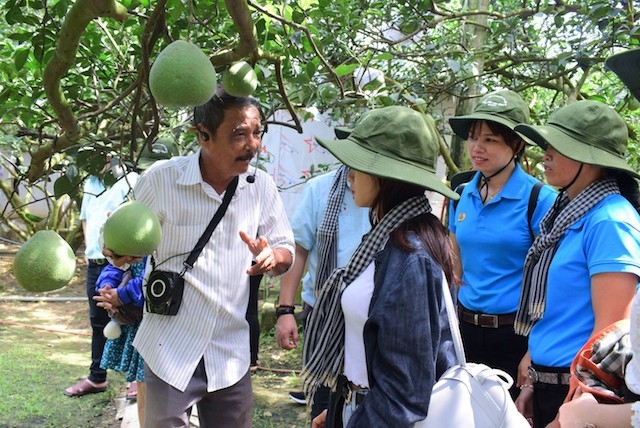 HTX đang tạo uy tín cho thương hiệu bưởi Bạch Đằng (ảnh:TL)