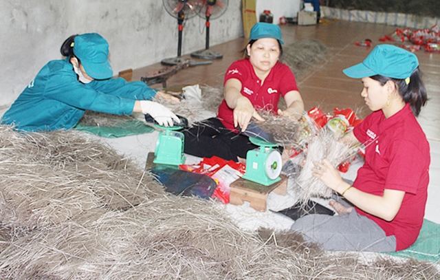 HTX Việt Cường đang nâng cao giá trị sản phẩm nhờ sản xuất an toàn (Ảnh Tư liệu)