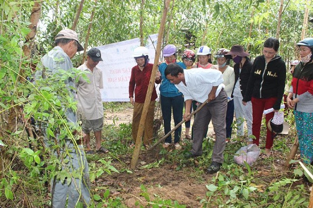 Các thành viên HTX được hướng dẫn cách bón phân cho cây lâm nghiệp