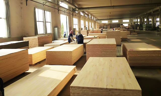 Công nhân sản xuất gỗ ván cao su ghép (Ảnh: Internet)
