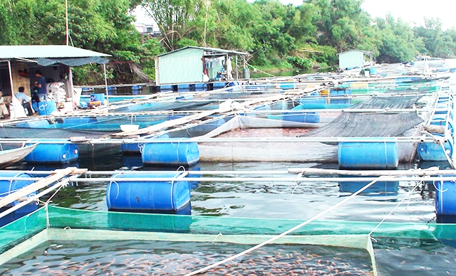 HTX sẽ tiếp tục chú trọng liên kết, đẩy mạnh khoa học - kỹ thuật để đảm bảo hiệu quả bền vững (Ảnh TL)