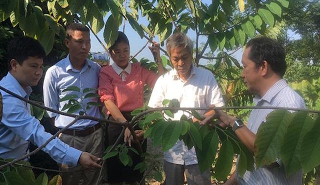 Đẩy mạnh đào tạo các nghề nông nghiệp.