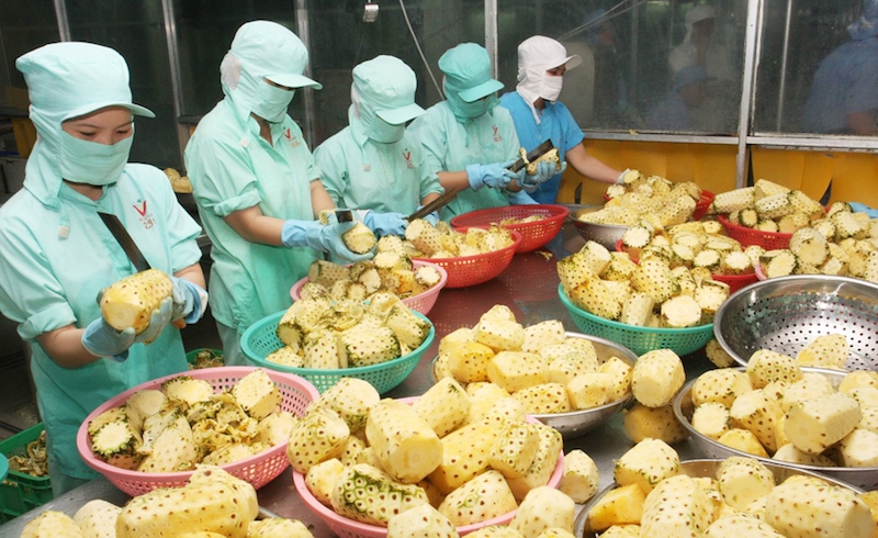 Giá trị xuất khẩu rau quả 7 tháng đầu năm 2020 ước đạt gần 2 tỷ USD (Ảnh: Internet)