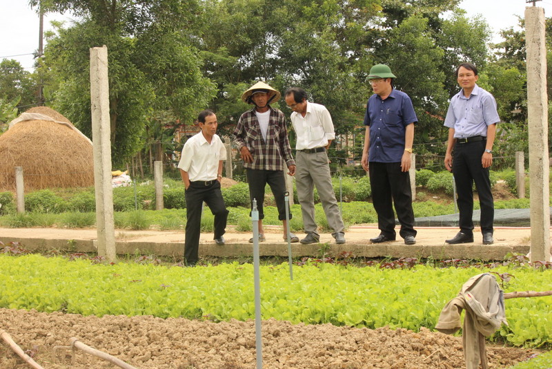 Chuyển đổi cơ cấu cây trồng, vật nuôi theo hướng sản xuất hàng hóa gắn với tiêu thụ sản phẩm, nâng cao giá trị gia tăng và phát triển bền vững được xác định là hướng phù hợp trước yêu cầu mới tại huyện Quảng Điền.