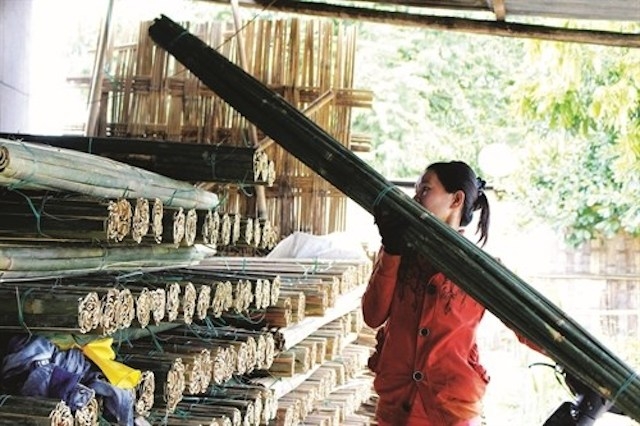 Nhiều hộ đồng bào dân tộc ở huyện Đức Linh nhờ “biết cách làm ăn” đã nâng cao đời sống (ảnh:TL)