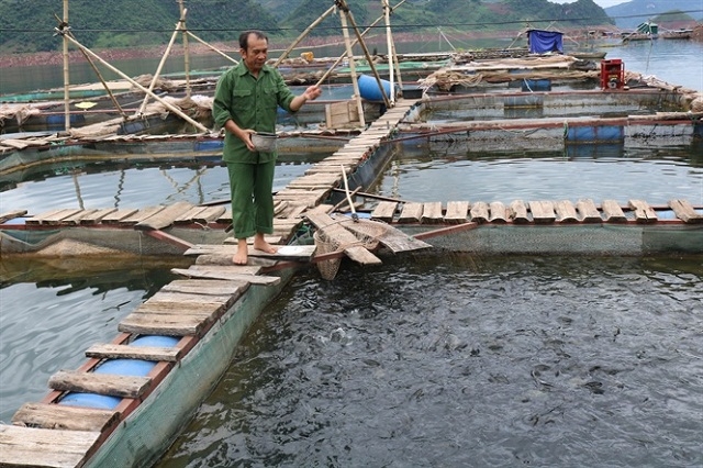 Chiềng Lao có 2 HTX nuôi trồng thủy sản đang hoạt động hiệu quả.