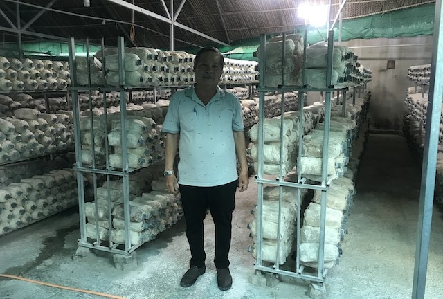 Ông Trần Văn Tấn với trang trại trồng nấm ở xã Nhơn Đức (Ảnh: TL)