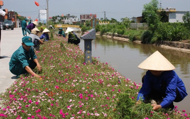 Bà con Công giáo xã Hải Quang tham gia chăm sóc đường hoa (Ảnh:TL)